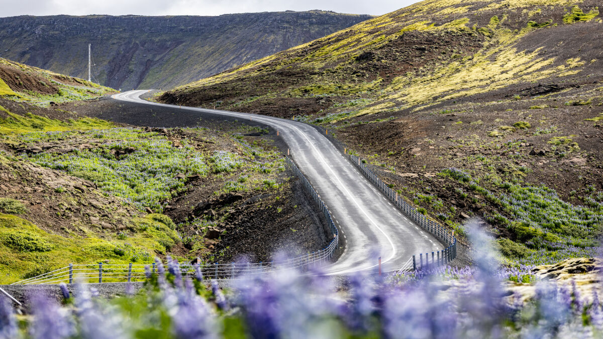 Schon mal auf Island gewesen? Ein sensationelles Revier für Motorradtouren. Der Asphalt sieht schlechter aus, als er ist. Die von TVS-Tochter Eurogrip entwickelten Reifen der Norton Atlas (vorn 19 Zoll, hinten 17 Zoll) jedenfalls kamen für meinen Geschmack bestens mit den grobporigen Oberflächen zurecht