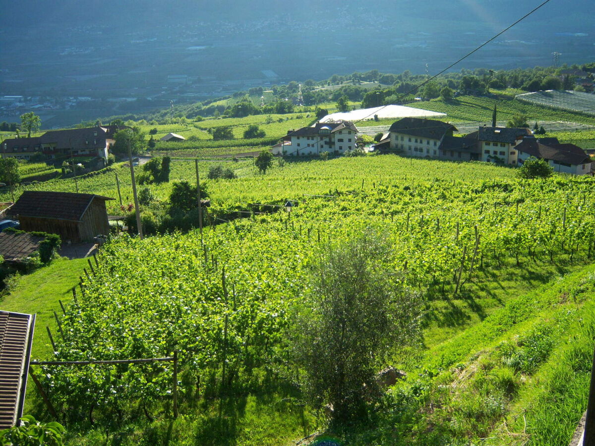 Südtirol Juni 2012 – Bild 10