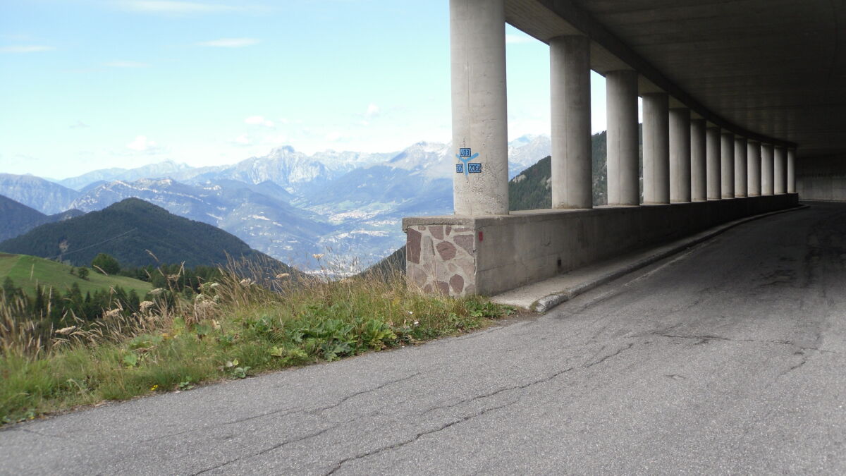Micha – Bild 42