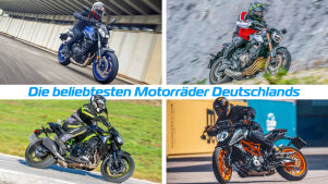 Top 10 der Zulassungen 