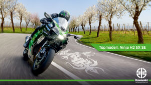 Kawasaki-Händler laden zum Drachenfest
