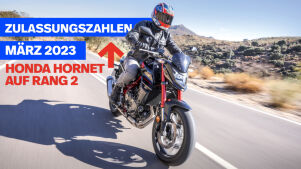 Zulassungszahlen März 2023 – die Hornisse im Steilflug