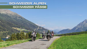 Schweizer Pässe