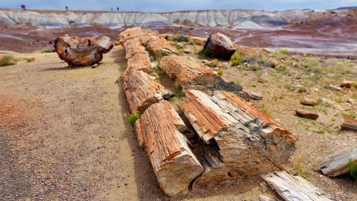 So sähe es im Petrified Forest National Park aus (wenn man nicht wegen Haushaltskürzungen vor verschlossener „Türe“ stünde)