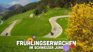 Schweizer Jura