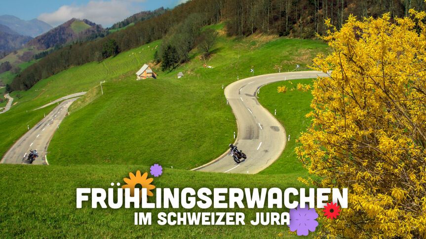 Frühlingserwachen im Schweizer Jura