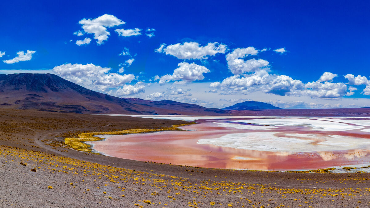 Die Laguna Colorada: riesig, bunt und voll mit Flamingos. Einfach nur wunderschön