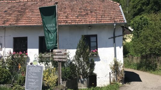 Weingut Pomaßl