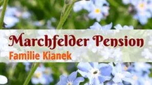Marchfelder Pension