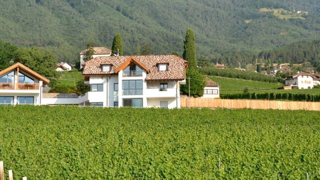 Ferienwohnung - Südtirol - Oberberghof