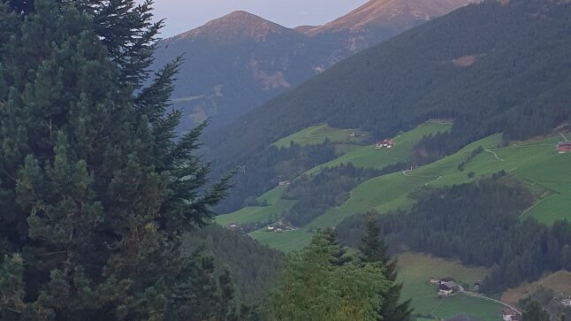 Ferienwohnung - Nordsee, Südtirol - Residence Gruber