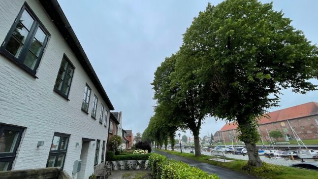 Ferienwohnung - Nordsee, Schleswig Holstein - Klindthuus Ferienhaus direkt am Hafen