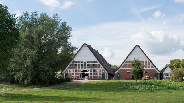 Ferienwohnung - Lüneburger Heide, Niedersachsen - Hof Sand