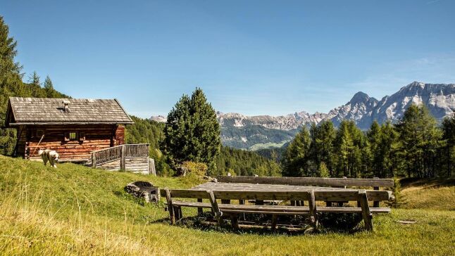 Ferienwohnung - Südtirol - Ciasa Pradel - Urlaub am Bauernhof