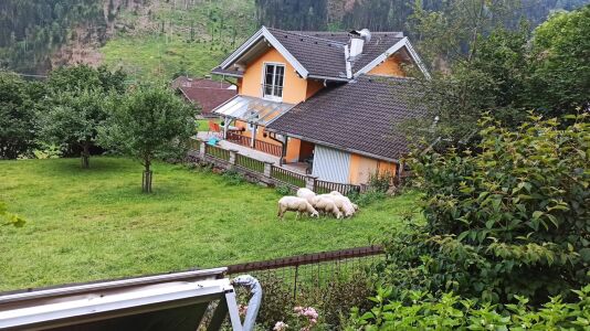 Ferienwohnung am Bauernhof