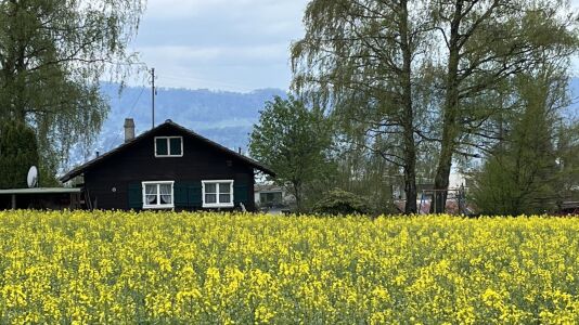 Chalet Elvira