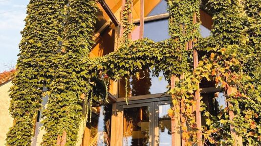 Weinloft II by WEINLOFTS