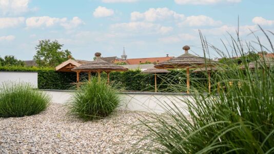Casa Rust