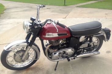Norton