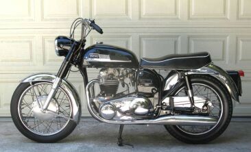 Norton