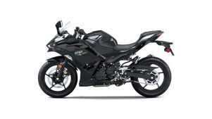 Kawasaki Ninja 500