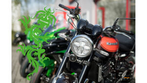Drachenfest bei den Kawasaki-Vertragspartnern am 6.April 2019
