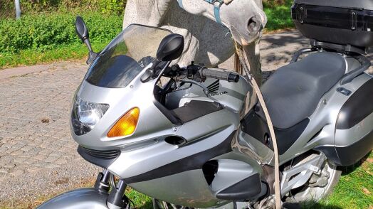 Motorrad von Pferdejule