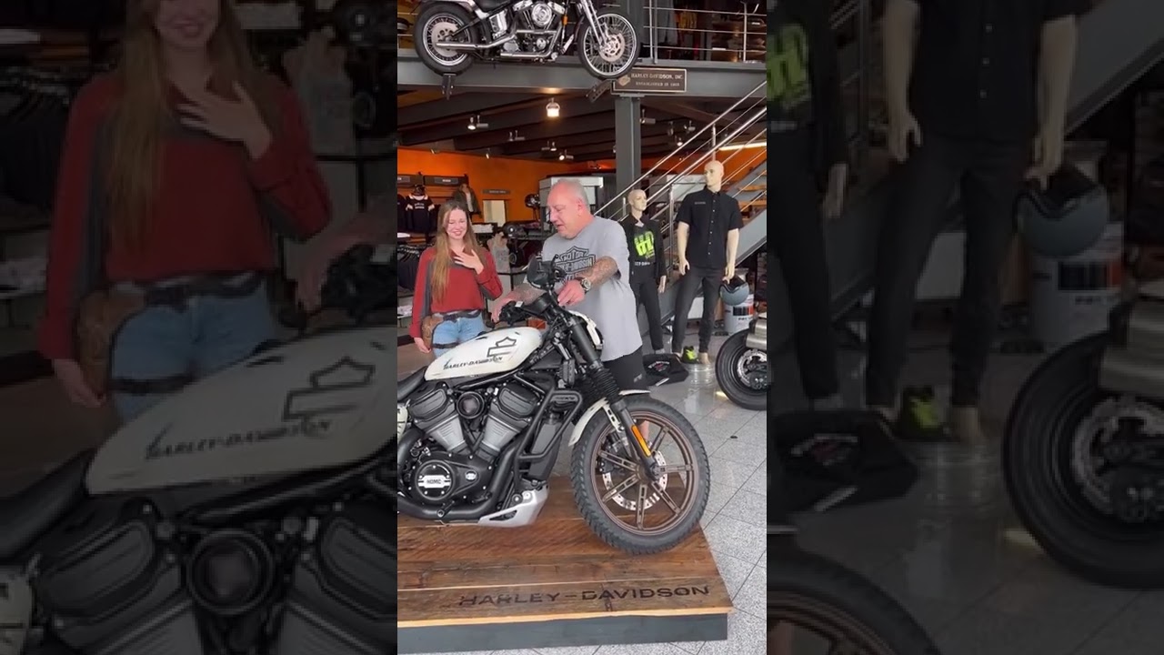 Harley-Davidson Nightster Umbau für Affe auf Bike