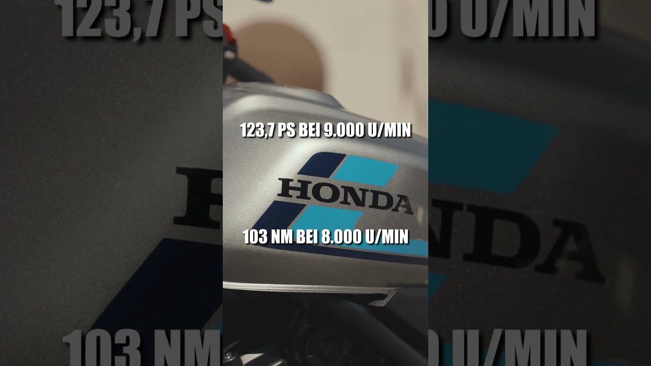 Honda CB1000F mit Fireblade-Motor 🔥